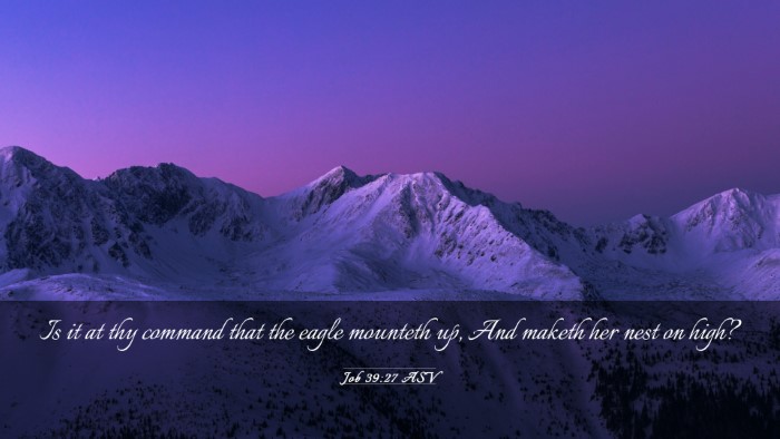 Picture 03 - Job 39:27 ASV Desktop Wallpaper - Is it at thy command that the eagle mounteth up, - Desktop Bible Verse Wallpaper