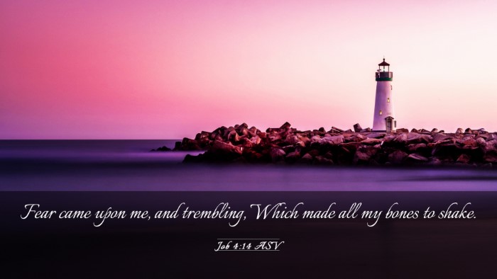Picture 03 - Job 4:14 ASV Desktop Wallpaper - Fear came upon me, and trembling, Which made all - Desktop Bible Verse Wallpaper