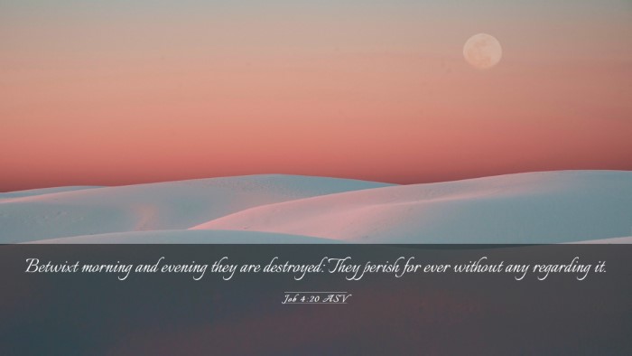 Picture 03 - Job 4:20 ASV Desktop Wallpaper - Betwixt morning and evening they are destroyed: - Desktop Bible Verse Wallpaper