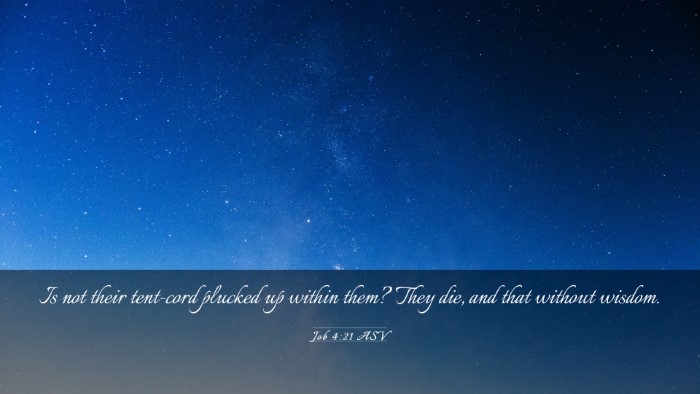 Picture 03 - Job 4:21 ASV Desktop Wallpaper - Is not their tent-cord plucked up within them? - Desktop Bible Verse Wallpaper