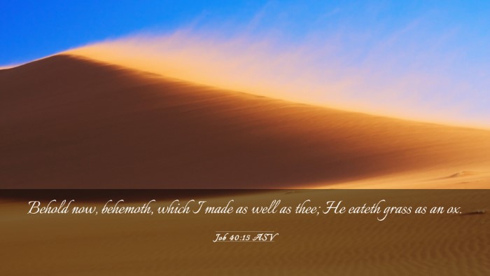 Picture 03 - Job 40:15 ASV Desktop Wallpaper - Behold now, behemoth, which I made as well as - Desktop Bible Verse Wallpaper