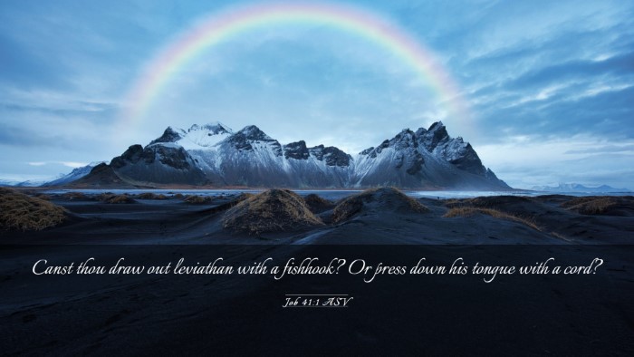 Picture 03 - Job 41:1 ASV Desktop Wallpaper - Canst thou draw out leviathan with a fishhook? Or - Desktop Bible Verse Wallpaper