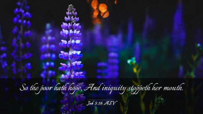 Picture 03 - Job 5:16 ASV Desktop Wallpaper - So the poor hath hope, And iniquity stoppeth her - Desktop Bible Verse Wallpaper