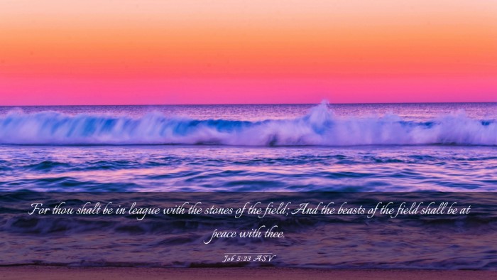 Picture 03 - Job 5:23 ASV Desktop Wallpaper - For thou shalt be in league with the stones of - Desktop Bible Verse Wallpaper