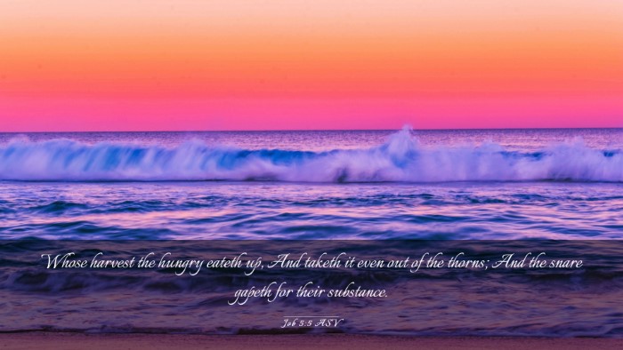 Picture 03 - Job 5:5 ASV Desktop Wallpaper - Whose harvest the hungry eateth up, And taketh it - Desktop Bible Verse Wallpaper