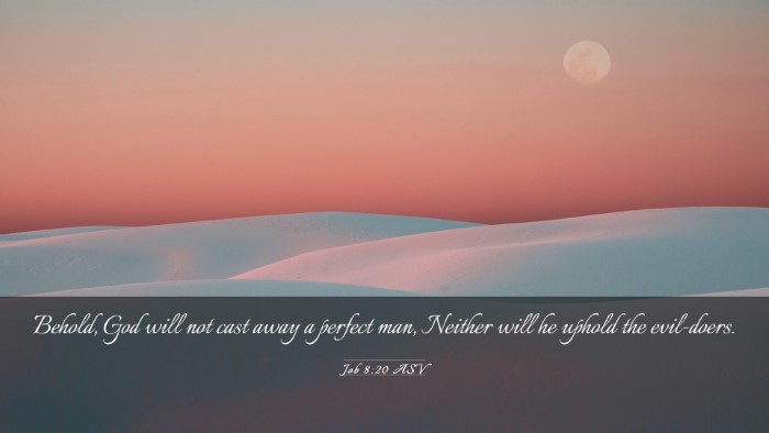 Picture 03 - Job 8:20 ASV Desktop Wallpaper - Behold, God will not cast away a perfect man, - Desktop Bible Verse Wallpaper
