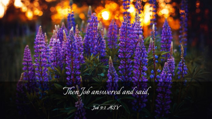Picture 03 - Job 9:1 ASV Desktop Wallpaper - Then Job answered and - Desktop Bible Verse Wallpaper