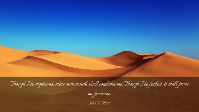 Picture 03 - Job 9:20 ASV Desktop Wallpaper - Though I be righteous, mine own mouth shall - Desktop Bible Verse Wallpaper