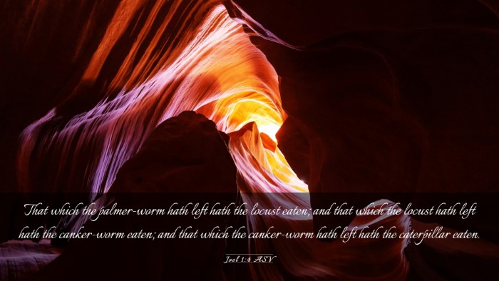 Picture 03 - Joel 1:4 ASV Desktop Wallpaper - That which the palmer-worm hath left hath the - Desktop Bible Verse Wallpaper
