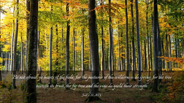 Picture 03 - Joel 2:22 ASV Desktop Wallpaper - Be not afraid, ye beasts of the field; for the - Desktop Bible Verse Wallpaper