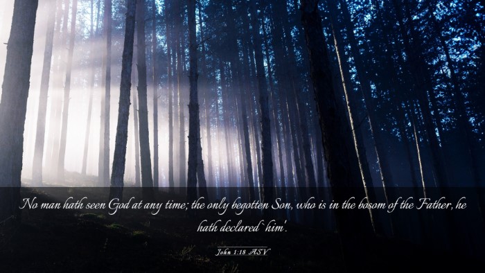 Picture 03 - John 1:18 ASV Desktop Wallpaper - No man hath seen God at any time; the only - Desktop Bible Verse Wallpaper