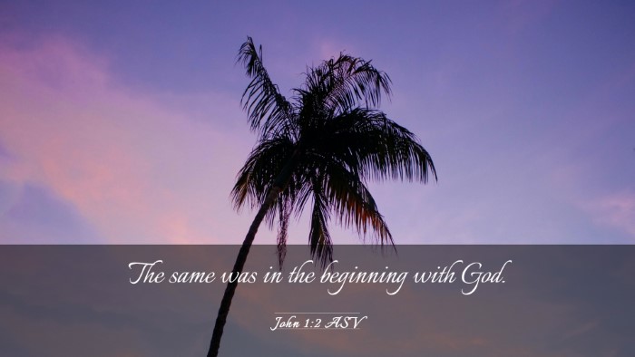 Picture 03 - John 1:2 ASV Desktop Wallpaper - The same was in the beginning with - Desktop Bible Verse Wallpaper