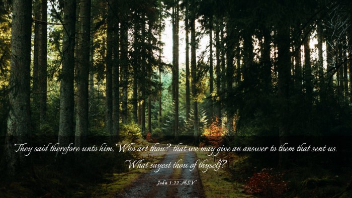 Picture 03 - John 1:22 ASV Desktop Wallpaper - They said therefore unto him, Who art thou? that - Desktop Bible Verse Wallpaper