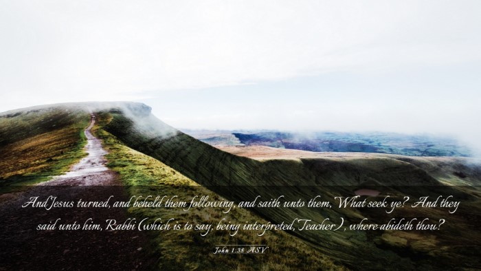 Picture 03 - John 1:38 ASV Desktop Wallpaper - And Jesus turned, and beheld them following, and - Desktop Bible Verse Wallpaper