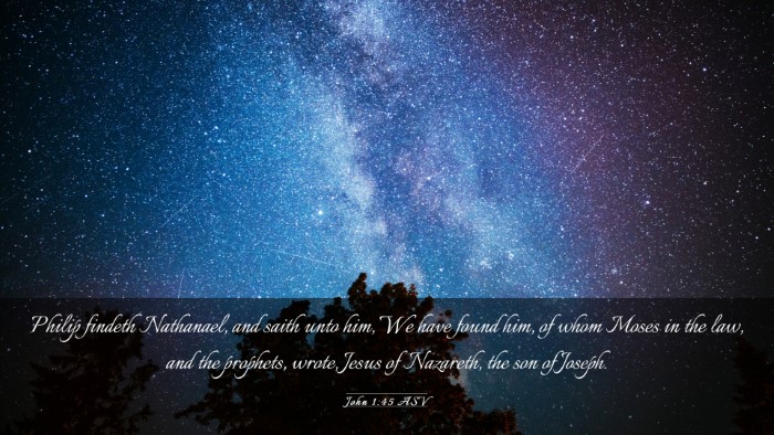 Picture 03 - John 1:45 ASV Desktop Wallpaper - Philip findeth Nathanael, and saith unto him, We - Desktop Bible Verse Wallpaper