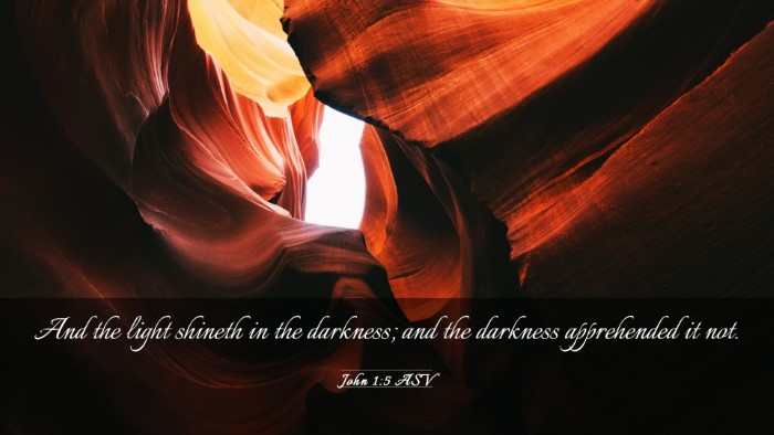 Picture 03 - John 1:5 ASV Desktop Wallpaper - And the light shineth in the darkness; and the - Desktop Bible Verse Wallpaper
