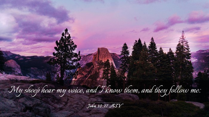 Picture 03 - John 10:27 ASV Desktop Wallpaper - My sheep hear my voice, and I know them, and they - Desktop Bible Verse Wallpaper