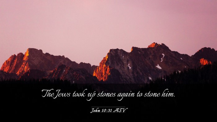 Picture 03 - John 10:31 ASV Desktop Wallpaper - The Jews took up stones again to stone - Desktop Bible Verse Wallpaper