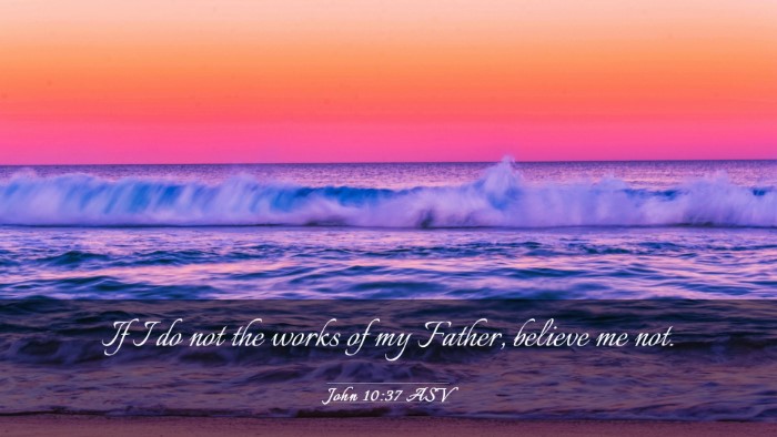 Picture 03 - John 10:37 ASV Desktop Wallpaper - If I do not the works of my Father, believe me - Desktop Bible Verse Wallpaper
