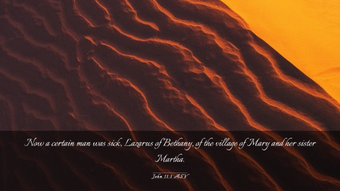 Picture 03 - John 11:1 ASV Desktop Wallpaper - Now a certain man was sick, Lazarus of Bethany, - Desktop Bible Verse Wallpaper