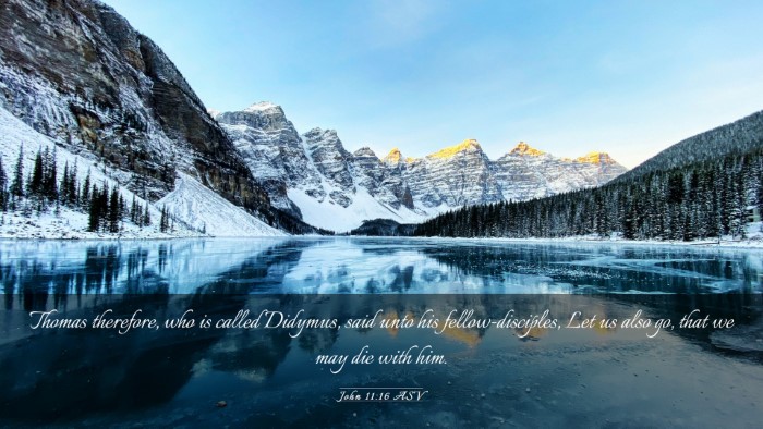 Picture 03 - John 11:16 ASV Desktop Wallpaper - Thomas therefore, who is called Didymus, said - Desktop Bible Verse Wallpaper