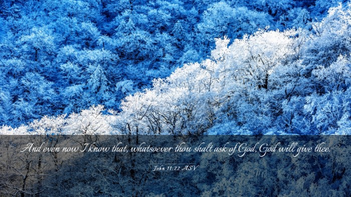 Picture 03 - John 11:22 ASV Desktop Wallpaper - And even now I know that, whatsoever thou shalt - Desktop Bible Verse Wallpaper