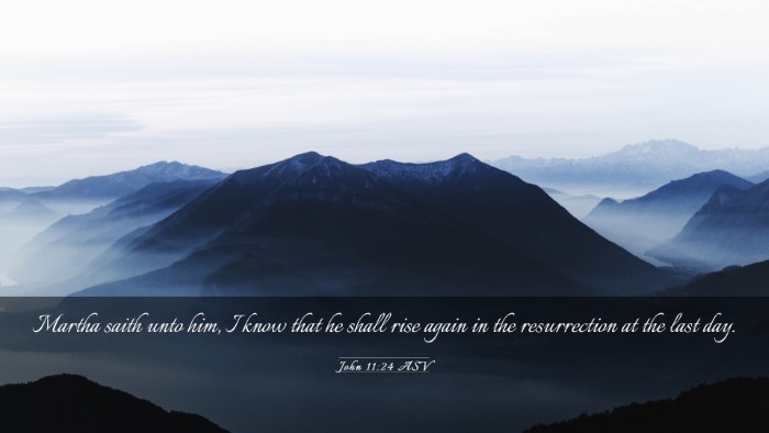 Picture 03 - John 11:24 ASV Desktop Wallpaper - Martha saith unto him, I know that he shall rise - Desktop Bible Verse Wallpaper
