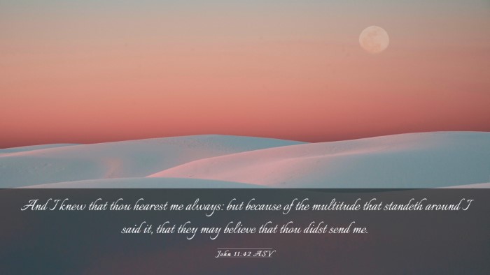 Picture 03 - John 11:42 ASV Desktop Wallpaper - And I knew that thou hearest me always: but - Desktop Bible Verse Wallpaper