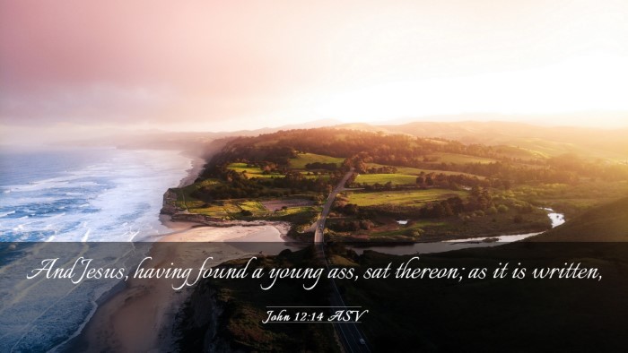 Picture 03 - John 12:14 ASV Desktop Wallpaper - And Jesus, having found a young ass, sat thereon; - Desktop Bible Verse Wallpaper