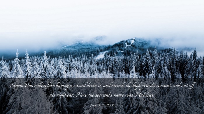 Picture 03 - John 18:10 ASV Desktop Wallpaper - Simon Peter therefore having a sword drew it, and - Desktop Bible Verse Wallpaper