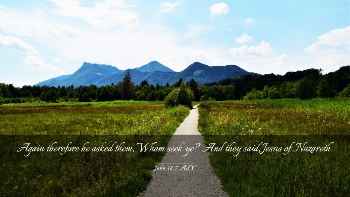 Picture 03 - John 18:7 ASV Desktop Wallpaper - Again therefore he asked them, Whom seek ye? And - Desktop Bible Verse Wallpaper