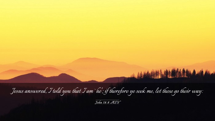Picture 03 - John 18:8 ASV Desktop Wallpaper - Jesus answered, I told you that I am `he'; if - Desktop Bible Verse Wallpaper