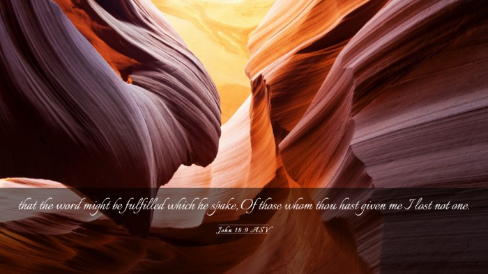 Picture 03 - John 18:9 ASV Desktop Wallpaper - that the word might be fulfilled which he spake, - Desktop Bible Verse Wallpaper