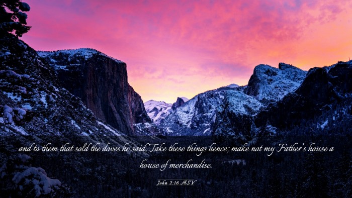 Picture 03 - John 2:16 ASV Desktop Wallpaper - and to them that sold the doves he said, Take - Desktop Bible Verse Wallpaper