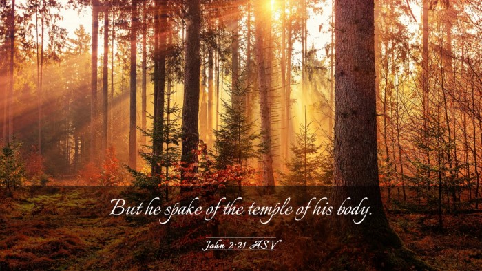 Picture 03 - John 2:21 ASV Desktop Wallpaper - But he spake of the temple of his - Desktop Bible Verse Wallpaper