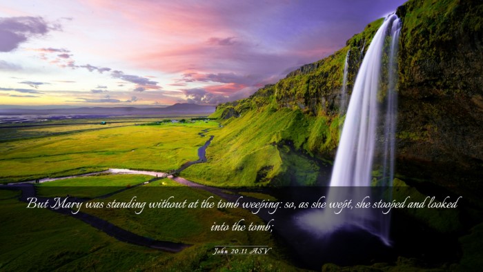 Picture 03 - John 20:11 ASV Desktop Wallpaper - But Mary was standing without at the tomb - Desktop Bible Verse Wallpaper