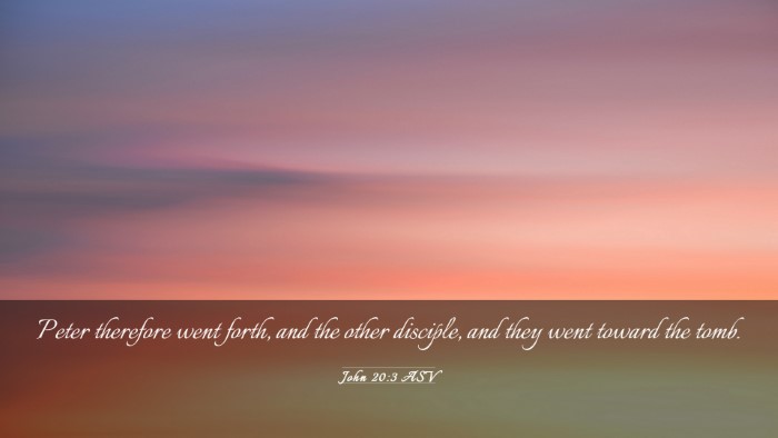 Picture 03 - John 20:3 ASV Desktop Wallpaper - Peter therefore went forth, and the other - Desktop Bible Verse Wallpaper