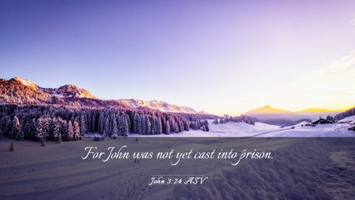 Picture 03 - John 3:24 ASV Desktop Wallpaper - For John was not yet cast into - Desktop Bible Verse Wallpaper
