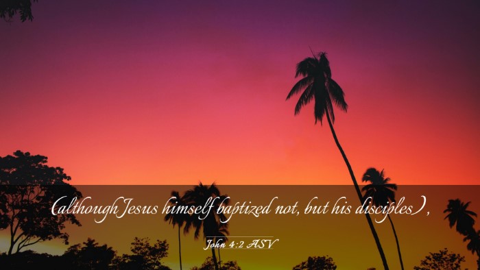 Picture 03 - John 4:2 ASV Desktop Wallpaper - (although Jesus himself baptized not, but his - Desktop Bible Verse Wallpaper