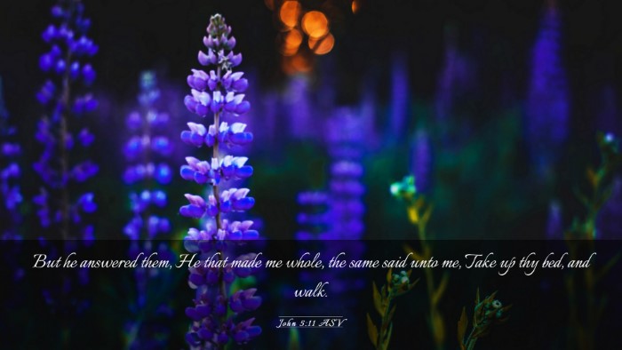 Picture 03 - John 5:11 ASV Desktop Wallpaper - But he answered them, He that made me whole, the - Desktop Bible Verse Wallpaper