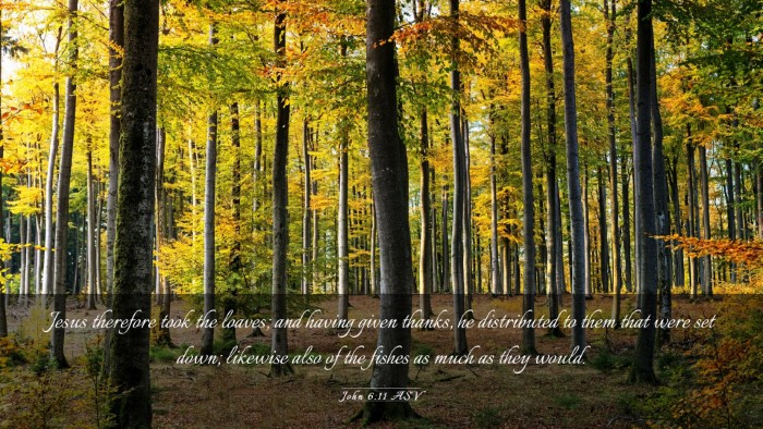 Picture 03 - John 6:11 ASV Desktop Wallpaper - Jesus therefore took the loaves; and having given - Desktop Bible Verse Wallpaper