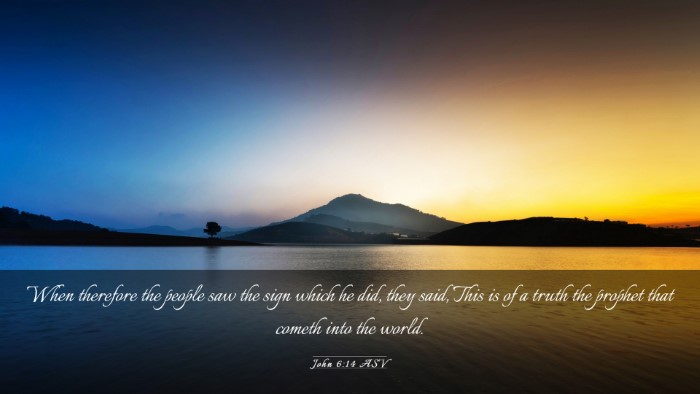 Picture 03 - John 6:14 ASV Desktop Wallpaper - When therefore the people saw the sign which he - Desktop Bible Verse Wallpaper