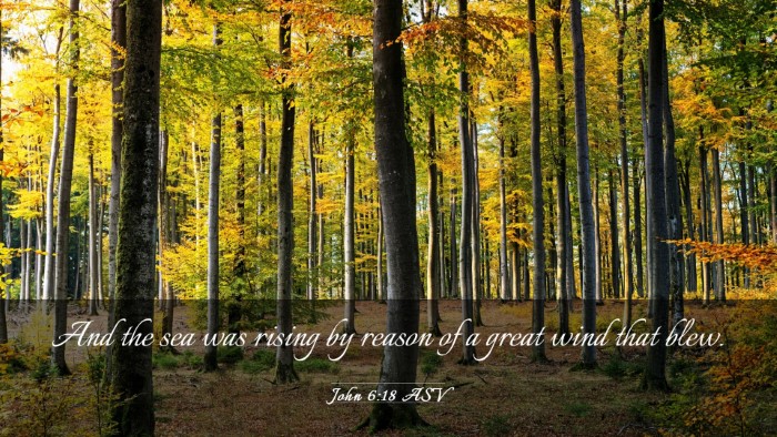 Picture 03 - John 6:18 ASV Desktop Wallpaper - And the sea was rising by reason of a great wind - Desktop Bible Verse Wallpaper