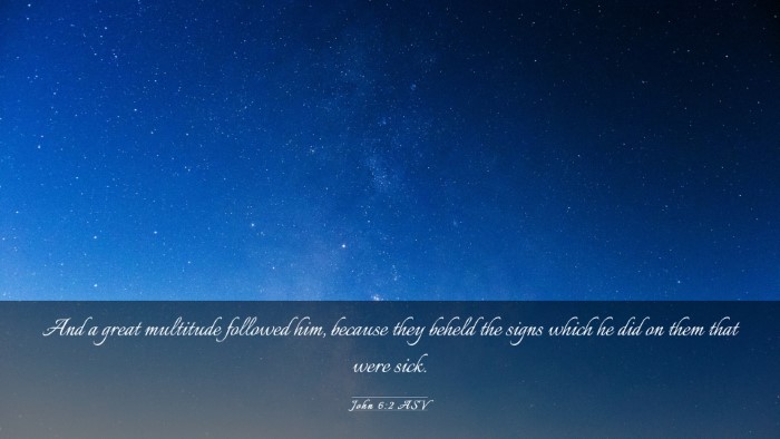 Picture 03 - John 6:2 ASV Desktop Wallpaper - And a great multitude followed him, because they - Desktop Bible Verse Wallpaper