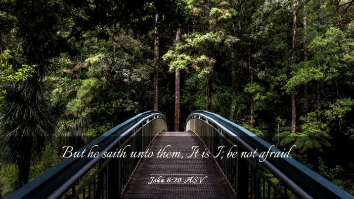 Picture 03 - John 6:20 ASV Desktop Wallpaper - But he saith unto them, It is I; be not - Desktop Bible Verse Wallpaper