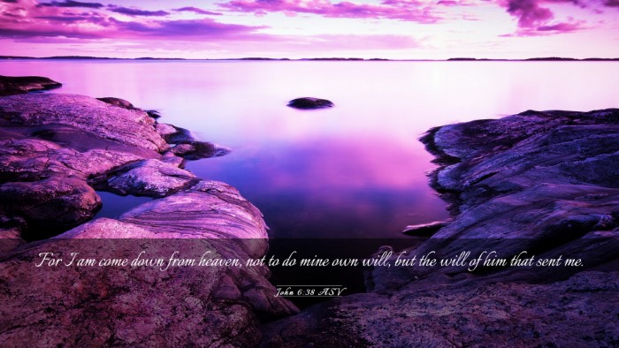 Picture 03 - John 6:38 ASV Desktop Wallpaper - For I am come down from heaven, not to do mine - Desktop Bible Verse Wallpaper