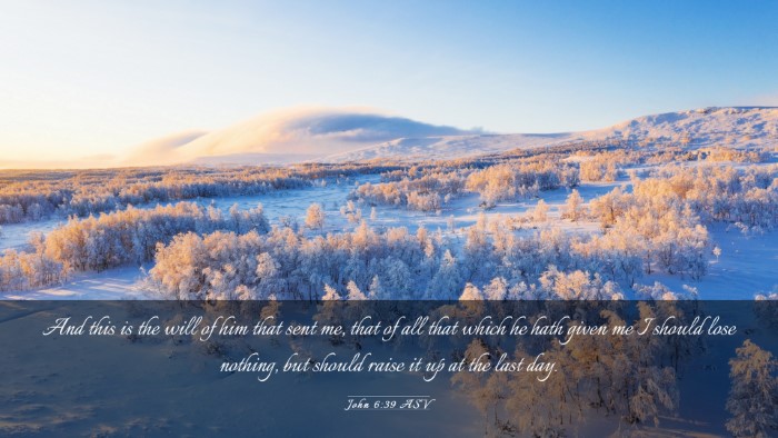 Picture 03 - John 6:39 ASV Desktop Wallpaper - And this is the will of him that sent me, that of - Desktop Bible Verse Wallpaper
