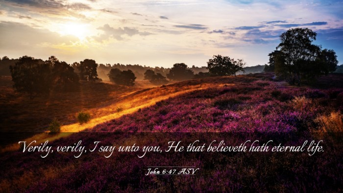 Picture 03 - John 6:47 ASV Desktop Wallpaper - Verily, verily, I say unto you, He that believeth - Desktop Bible Verse Wallpaper