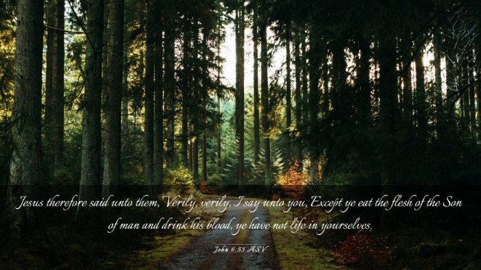 Picture 03 - John 6:53 ASV Desktop Wallpaper - Jesus therefore said unto them, Verily, verily, I - Desktop Bible Verse Wallpaper