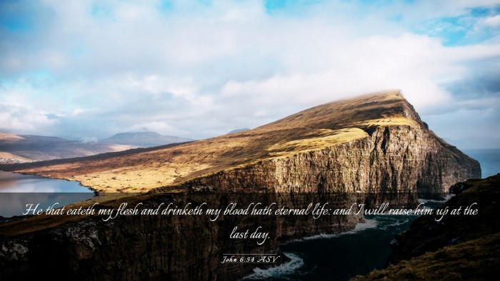 Picture 03 - John 6:54 ASV Desktop Wallpaper - He that eateth my flesh and drinketh my blood - Desktop Bible Verse Wallpaper